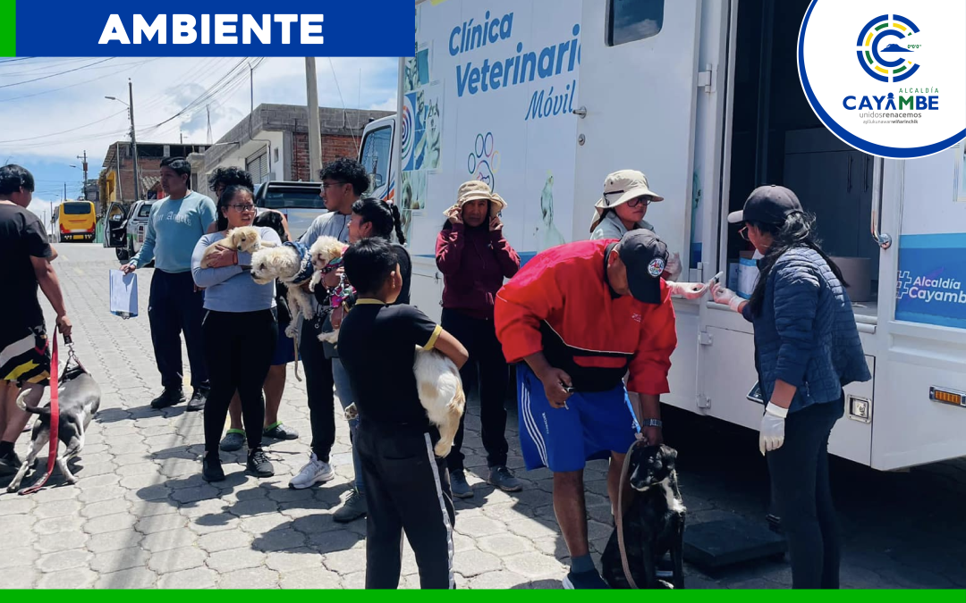 Campaña de Desparasitación Gratuita para Perros y Gatos