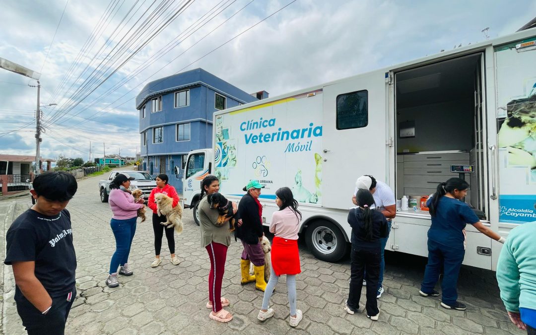 UN FIN DE SEMANA LLENO DE CUIDADO Y ALEGRÍA PARA NUESTRAS MASCOTAS
